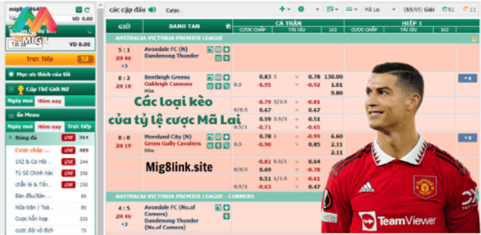 Tỷ lệ cược Mã Lai tại Mig8 - Cược dương