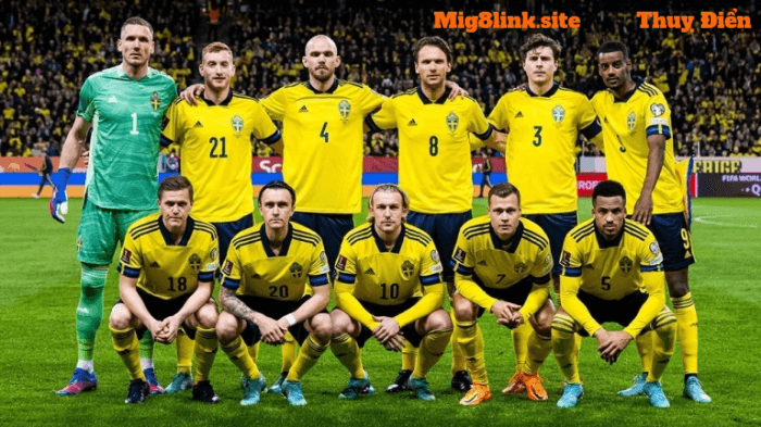 Đội tuyển quốc gia Thuỵ Điển